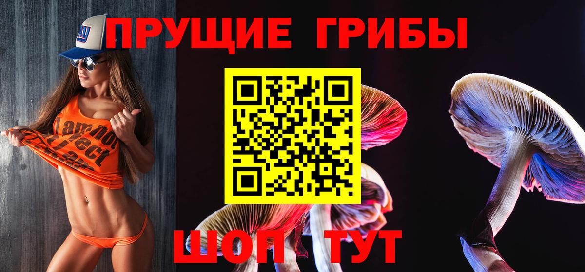 Псилоцибиновые грибы Psilocybe  Вход с VPN  Балтийск 