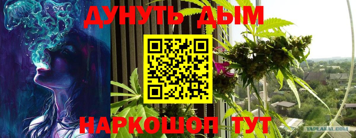 Балтийск  Бошки Шишки SATIVA & INDICA  Вход с VPN  Канабис план  Бошки Шишки AK-47 